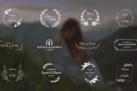 Wedding Titles Pack / MOGRT 51979081