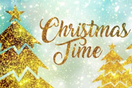 Christmas 20983573