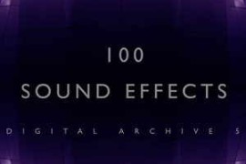 The Digital Sound Effects Group 100 Sound Effects Digital Archive 5 FLAC-FANTASTiC