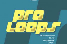 Proloops Patrick Seeker A State of Techno DJ Tools FLAC