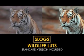Slog2 Wildlife and Standard Color LUTs 48914897