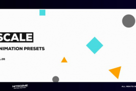 Scale Motion Presets Vol. 05 47667966