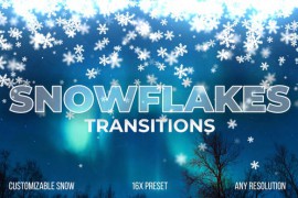 Winter Transitions 49726117