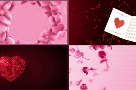 Valentine Backgrounds Pack 50333989