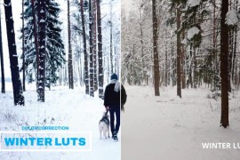 LUTs Winter 43400326