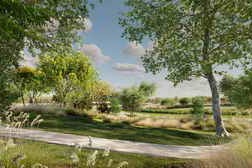 Globe Plants – Bundle 65 – Street Trees