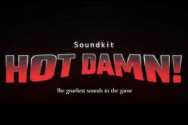 Lit Lords HOT DAMN Soundkit WAV SERUM ViTAL-TECHNiA