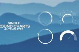 46 Single Round Charts | Infographics Pack 39944746