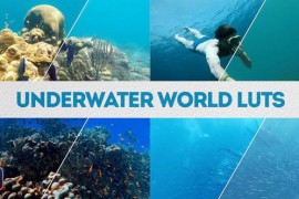 Underwater World LUTs | DaVinci Resolve 49838536
