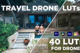 Travel Drone LUTs 46653447