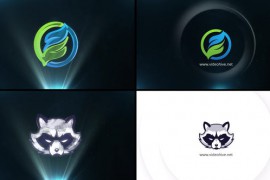 Simple Rotating Logo Reveal 31154298