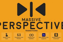 Massive Perspective Transitions 44907616