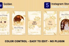 Golden Wedding Instagram Stories (MOGRT) 47579643