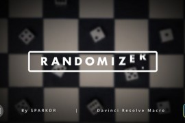 Randomizer Reveal Title | Davinci Resolve Macro 46890792