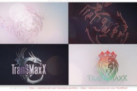 Shaped Logo Reveal 42930672