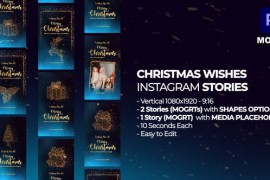 Christmas Wishes Instagram Stories MOGRTS 49749868