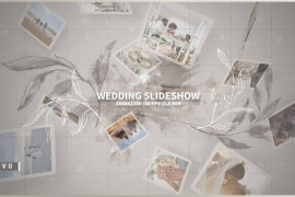 Wedding Slideshow 45687424