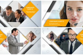 Clean Corporate 19800786