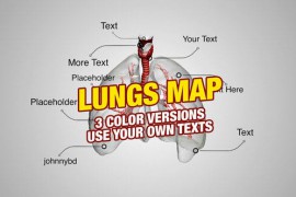 Lungs Map 4K 31532621