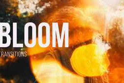 Free Download:Bloom Transitions for After Effects 60506513