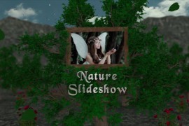 Nature Slideshow 50733469