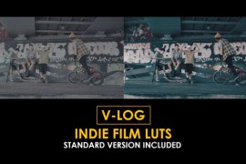 V-Log Indie Film and Standard Color LUTs 51379312