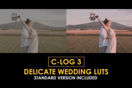 C-Log3 Delicate Wedding and Standard Color LUTs 51226833