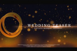 Wedding Teaser 50692285