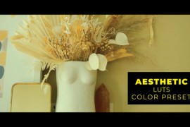 Aesthetic LUTs 43382616