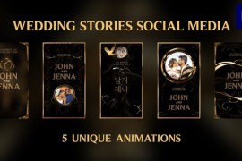 Wedding Stories Instagrams for Premiere Pro 47195501