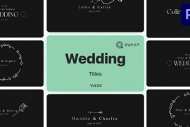 Wedding Titles for Premiere Pro Vol. 04 49000025
