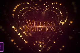 Wedding Invitation Opener - Premiere Pro 42787955