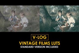 V-Log Vintage Film and Standard Color LUTs 51378327