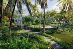 Globe Plants – Bundle 56 – Hawaiian Plants