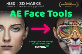 AE Face Tools 24958166