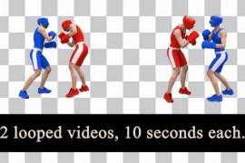 Boxing Fight Loops Pack 51901460