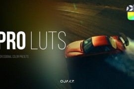 Pro LUTs for Final Cut Pro X 52281886