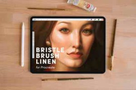 Free Download:Natural Bristle Brush Linen Brushes Set for Procreate