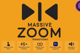 Massive Zoom Transitions 46693021