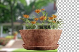 Animated Flowering tree with orange flowers 51109909