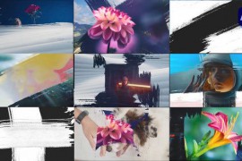 Paint Brush Transitions Pack [After Effects] 47440134