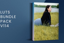 LUTs Bundle Pack V114 | DaVinci Resolve 50754347