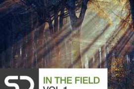 Sample Diggers - In The Field Vol 1 WAV