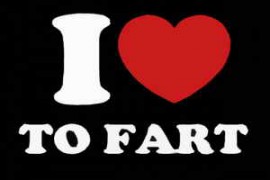 Sound Team I Love to Fart FLAC