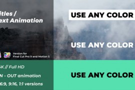 Titles / Text Animation | FCPX 41918946