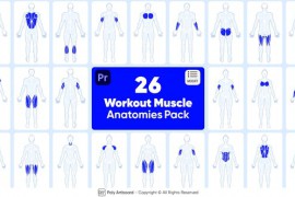 Workout Muscle Anatomies Pack For Premiere Pro 48592915