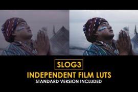 Slog3 Independent Film and Standard Color LUTs 51061627