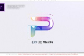 Quick Logo Animation 52205880