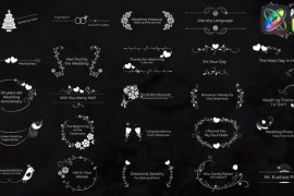 Wedding Titles for FCPX 46364688