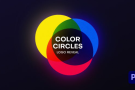 Color Circles Logo Reveal 51871734
